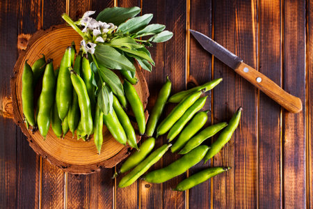 Green beans close up top view background. fresh beansの写真素材