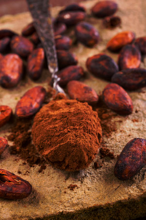 Chocolate beans and powder in spoonの写真素材