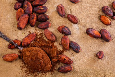 Chocolate beans and powder in spoonの写真素材