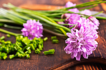 Allium schoenoprasum, green onion on a table, fresh greens