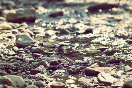 Small creek close up photoの写真素材