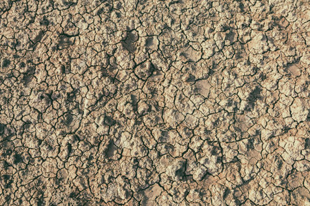 Background image of dry clay soil