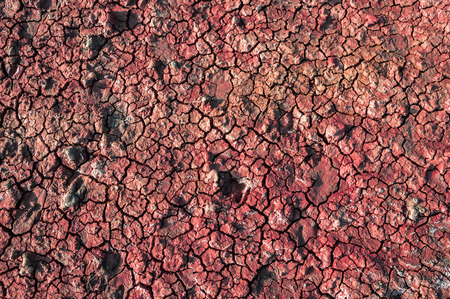 Background image of dry red clay soilの写真素材