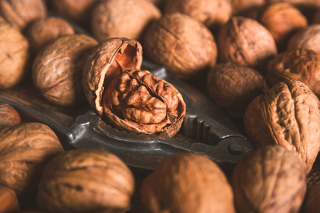 Fresh uncleaned in the shell organic walnuts and hazelnuts with nut cracker on sackclothの写真素材