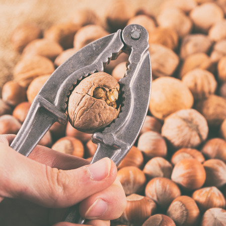 Cracking the walnut using nut cracker in man handの写真素材