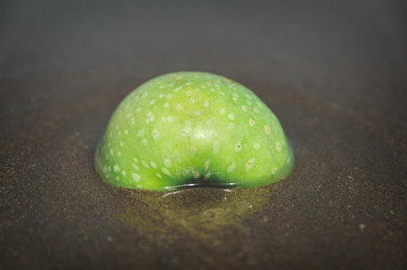 Green apple in the sand on the beach