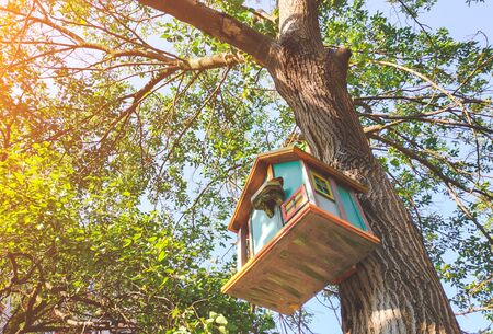 Beautiful decorated birdhouse in a park on a treeの写真素材