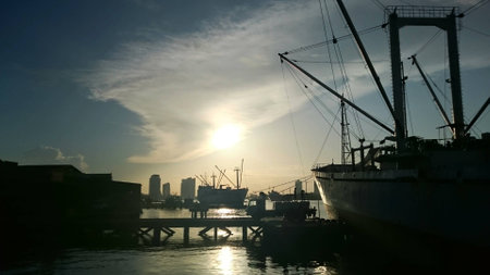 Morning by the Pierの写真素材