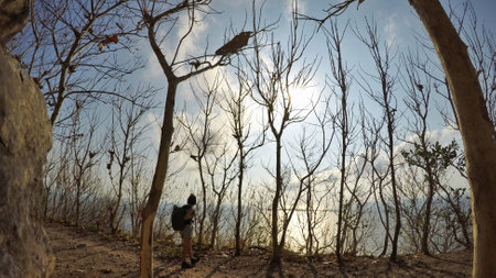 backpacker walking on the hill with sea viewの写真素材