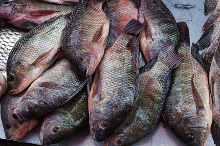 Fresh nile tilapia are on sale in the bazaar.