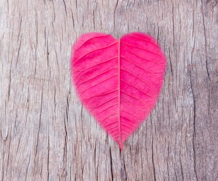 Leaf, red heart is placed on a wooden floor.の写真素材