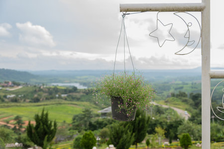 flower basket Hanging on a pole Top view landscpaeの写真素材