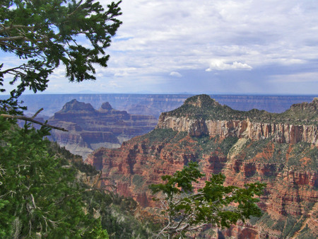 A view of the Grand Canyon from campsite on the North Rim in Arizona.の写真素材