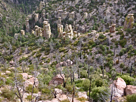 Giant rock columns in Chiricahua National Monument in southeast Arizona.の写真素材