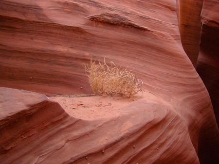 A natural abstract of red sandstone rocks and debris in Rattlesnake Canyon, near Antelope Canyon southeast of Page in northern Arizona.の写真素材