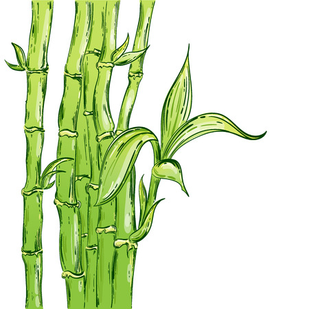 Vector abstract illustration with bamboo. Background for design of postcard, poster, banner.のイラスト素材