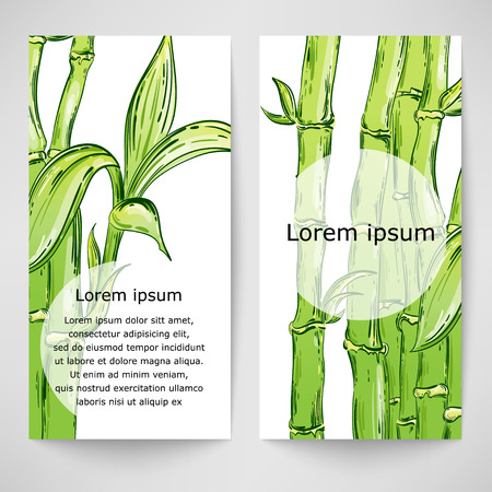 Vector abstract illustration with bamboo. Background for the design of a banner, poster, billboard and other.のイラスト素材