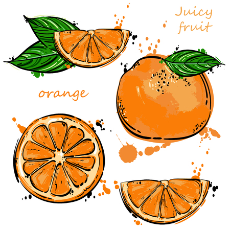 Vector abstract illustration with an orange. An isolated set for your design of postcard, menu, banner, poster, advertisement and other.のイラスト素材