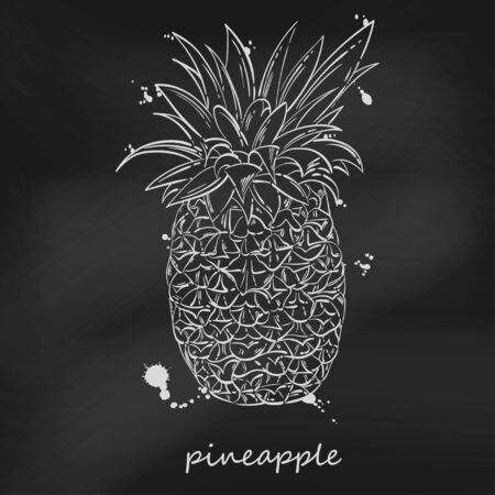 Vector abstract illustration of pineapple. Juicy fruit. Blackboard.のイラスト素材