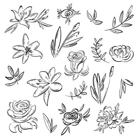 Vector abstract set with roses, lilies, leaves. hand drawing. flower setのイラスト素材