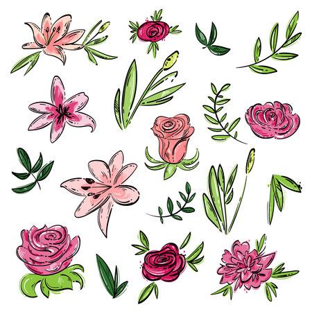Vector abstract set with roses, lilies, leaves. hand drawing. flower setのイラスト素材