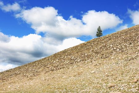 Lonely tree on the hill near the Baikal lakeの写真素材