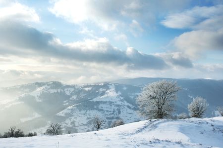 winter landscape with a mountains and a snow-covered treeの写真素材