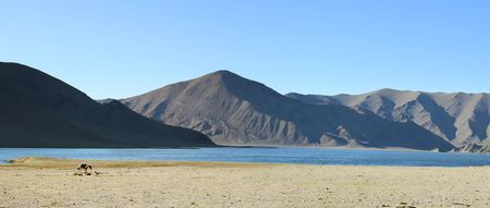 Beautifull mongolian landscape with horse on the left of the photo の写真素材