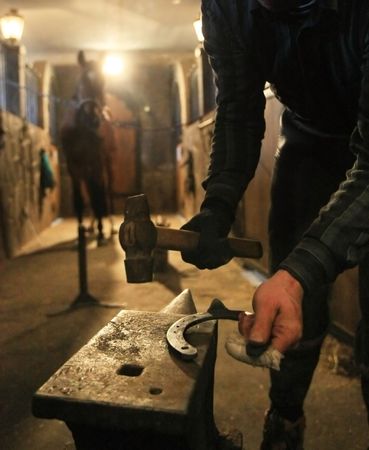 farrier prepares to attach horseshoe to hoofの写真素材