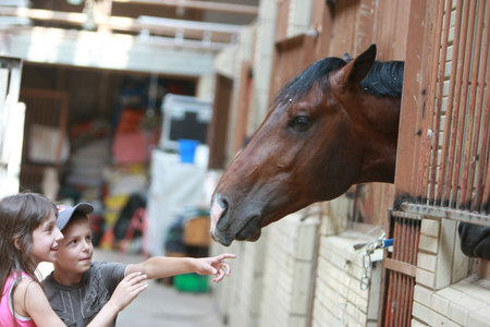 KYIV, UKRAINE - JULY 18: Children playing with a horse in  stable during a Open Equestrian Cup on July 18, 2008 in Kyiv, Ukraineのeditorial素材