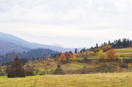 Beautiful autumnal view of Carpathian Mountains. Ukraineの写真素材
