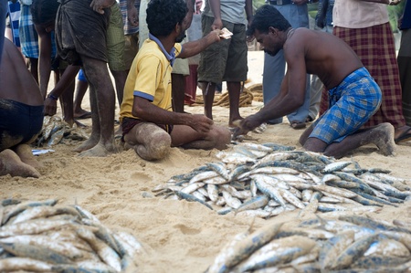 Hikkaduwa, Sri Lanka - Feb 19, 2011: Lokal fishermans selling fish on the beach. Fishing in Sri Lanka is a tough job but this is the way they earn their livingのeditorial素材