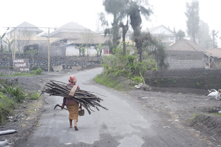 Sukapura, Indonesia - April 24, 2011: Indonesian woman carrying firewood on the way to  his home