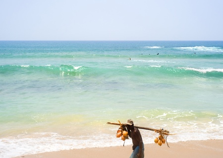 Hikkaduwa, Sri Lanka - March 11, 2011: Local Sri Lankan trader walking along the beach with a coconut on his shoulders try to selling itのeditorial素材