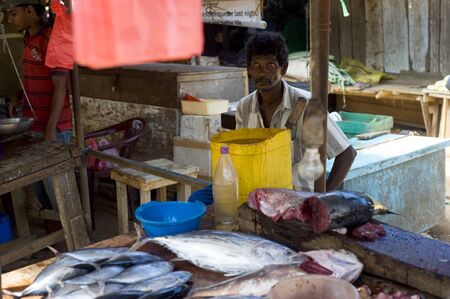Hikkaduwa, Sri Lanka - January 23, 2011: Seller at a fish market. Fishing in Sri Lanka is a tough job but this is the way they earn their livingのeditorial素材