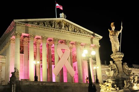  Austrian Parliament Building at night  Viennaの写真素材