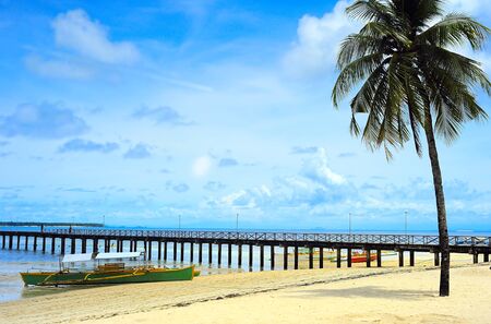Tropical beach in the sunshine day, Philippinesの写真素材