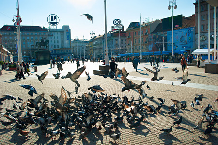 ZAGREB, CROATIA - OCTOBER 03, 2013: Flock of pigeon at Ban Jelacic Square, the central square of  Zagreb. The oldest standing building here was built in 1827.のeditorial素材