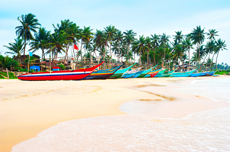 Row of traditional sri lankan fishing boats on ocean beachの写真素材