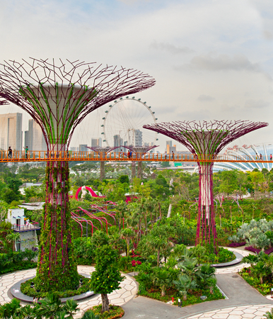 SINGAPORE - MARCH 05, 2013 : people walking on a bridge at Gardens by the Bay in Singapore. Gardens by the Bay was crowned World Building of the Year at the World Architecture Festival 2012 のeditorial素材