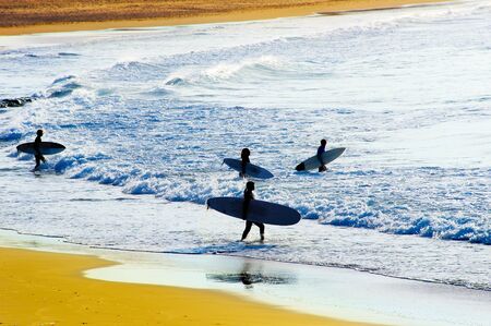 Group of surfers going to surf in the oceanの写真素材