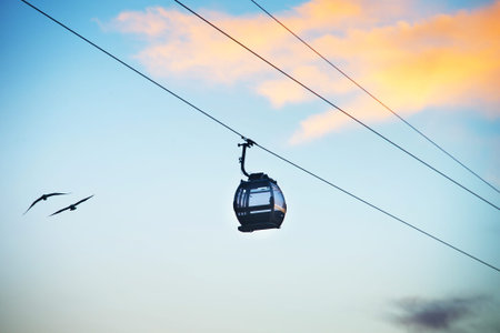 View of cable car and flying birds at sunset