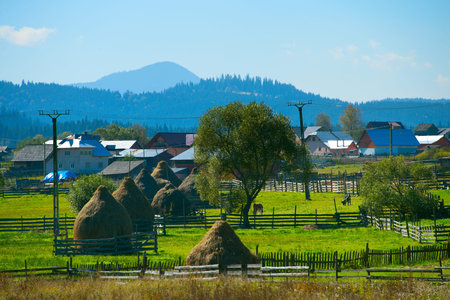 View of typical Romanian village in the sunny day. Romania
