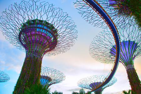 SINGAPORE - JAN 15, 2017: People walking on the bridge at Gardens by the Bay. Gardens by the Bay was crowned World Building of the Year at the World Architecture Festival 2012のeditorial素材