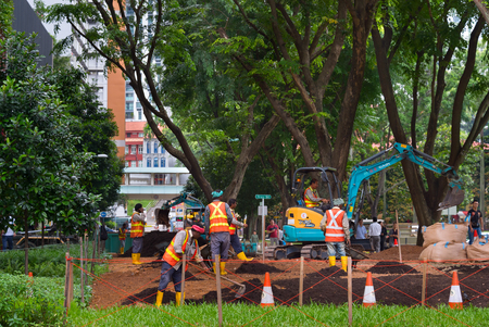 SINGAPORE - JAN 16, 2017: Workers work in public park in Singapore. Singapore is a major political, financial, cultural hub in Asia.のeditorial素材