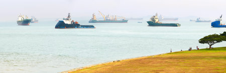Industrial cargo ships in Singapore harbor.