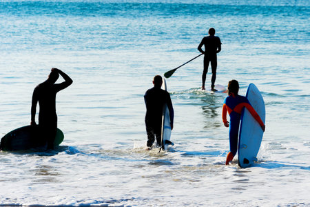 Group of surfers going to surf. SIlhouette. Peniche, Portugal