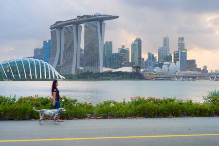 SINGAPORE - FEBRUARY 16, 2017: Woman walking with a dog by tje river in front of Singapore Downtownのeditorial素材