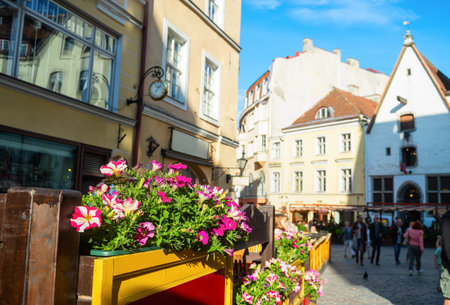 Sunny Old Town street view, flowers by restaurant, people sightseeing, Tallinn, Estoniaの写真素材
