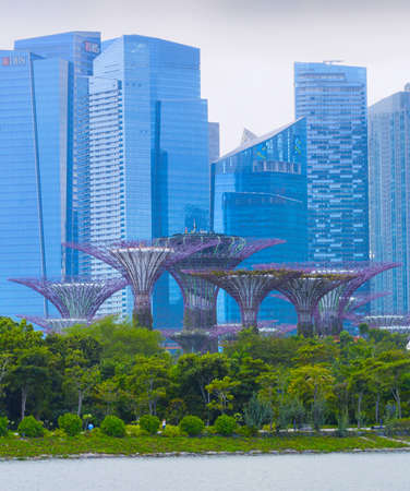 SINGAPORE - FEBRUARY 16, 2017: Singapore Downtown core skyline with Gardens by the Bay trees in the foreground.のeditorial素材